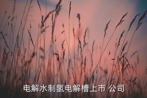 電解液公司,深圳電解液公司
