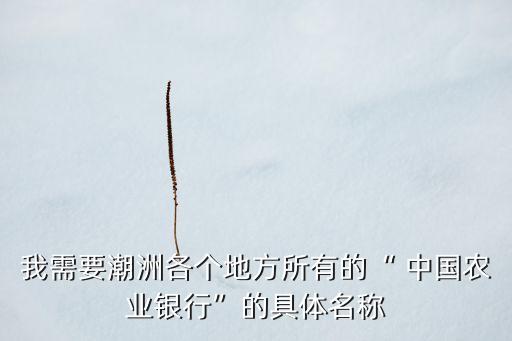 中國農(nóng)業(yè)銀行百色新廣支行