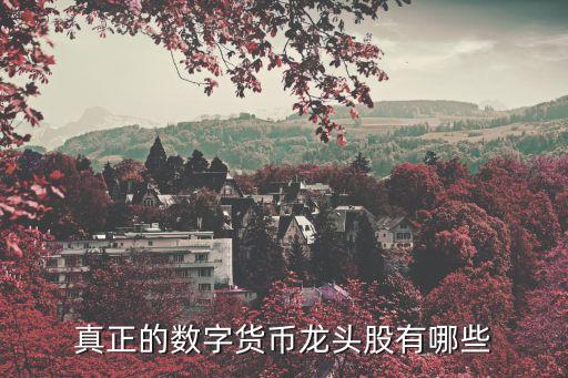 真正的數(shù)字貨幣龍頭股有哪些