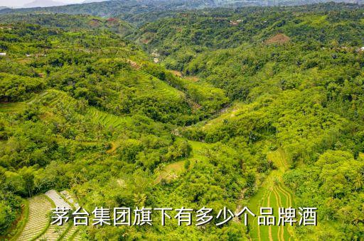 茅臺(tái)黃金酒沈陽(yáng)哪個(gè)公司在銷(xiāo)售