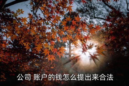  公司 賬戶(hù)的錢(qián)怎么提出來(lái)合法