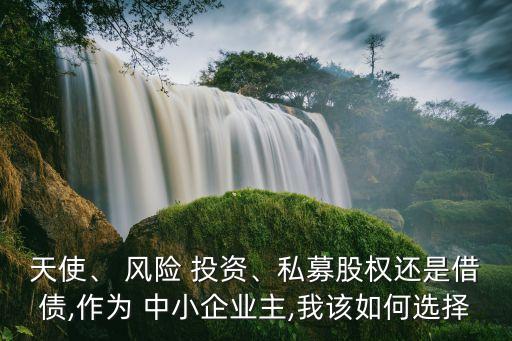 天使、 風險 投資、私募股權還是借債,作為 中小企業(yè)主,我該如何選擇