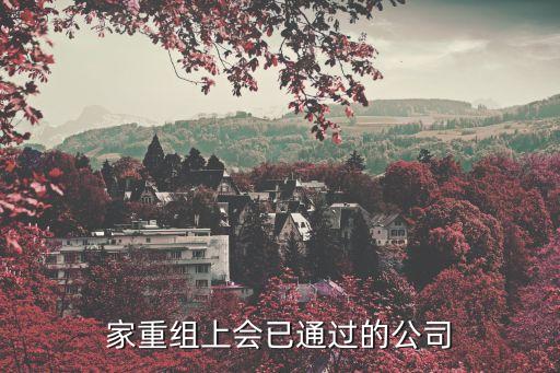 13家重組上會已通過的公司