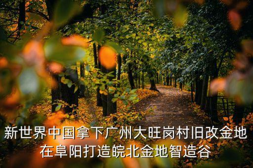 新世界中國(guó)拿下廣州大旺崗村舊改金地在阜陽(yáng)打造皖北金地智造谷
