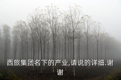 西旅集團名下的產(chǎn)業(yè),請說的詳細.謝謝