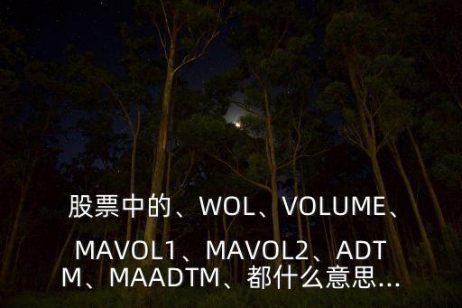  股票中的、WOL、VOLUME、MAVOL1、MAVOL2、ADTM、MAADTM、都什么意思...