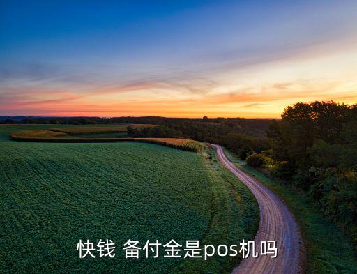 收到快錢(qián)支付清算信息有限公司備付金