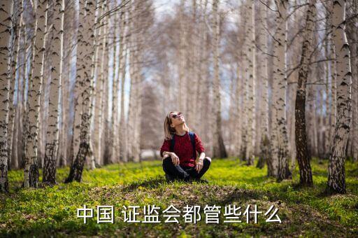 zhongguo證監(jiān)會調查公司權限