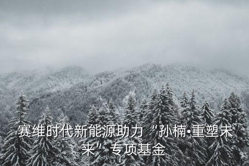  賽維時(shí)代新能源助力“孫楠?重塑未來(lái)”專項(xiàng)基金