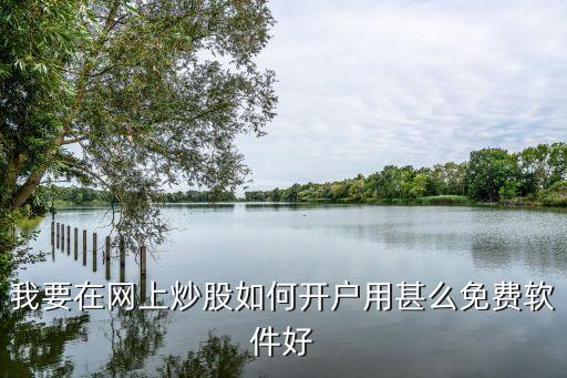 我要在網(wǎng)上炒股如何開戶用甚么免費軟件好
