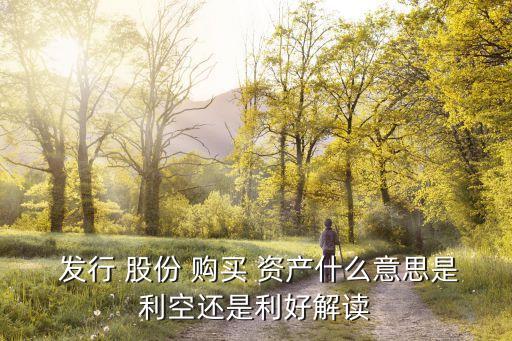  發(fā)行 股份 購(gòu)買 資產(chǎn)什么意思是利空還是利好解讀