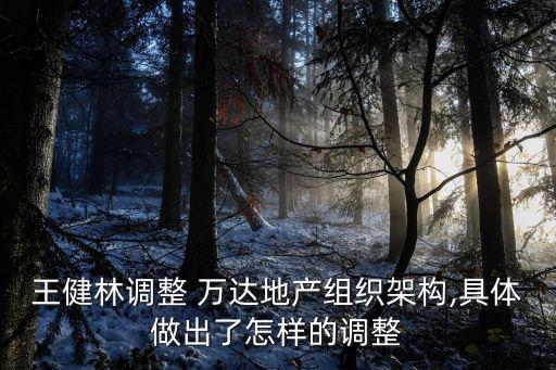 王健林調(diào)整 萬(wàn)達(dá)地產(chǎn)組織架構(gòu),具體做出了怎樣的調(diào)整