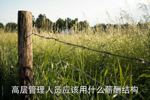 高層管理人員應該用什么薪酬結(jié)構