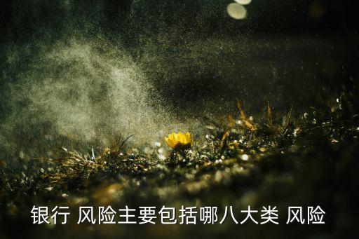 銀行 風(fēng)險(xiǎn)主要包括哪八大類(lèi) 風(fēng)險(xiǎn)