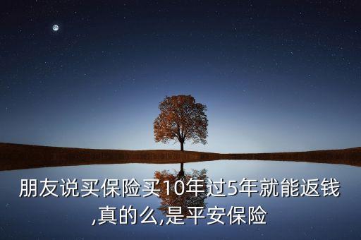 保險公司十周年紀(jì)實(shí),中國最大的保險公司排名前十