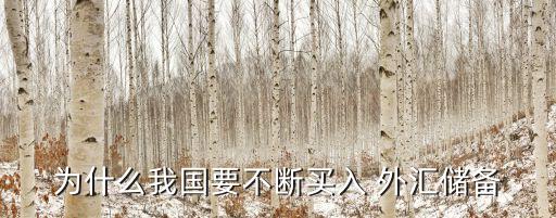 為什么我國要不斷買入 外匯儲(chǔ)備