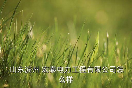 山東宏泰集團(tuán)董事長,湖北宏泰集團(tuán)董事長是什么級(jí)別