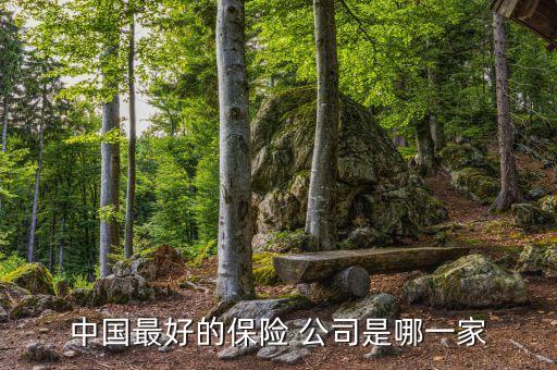 中國最好的保險(xiǎn) 公司是哪一家