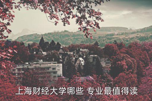  上海財(cái)經(jīng)大學(xué)哪些 專(zhuān)業(yè)最值得讀