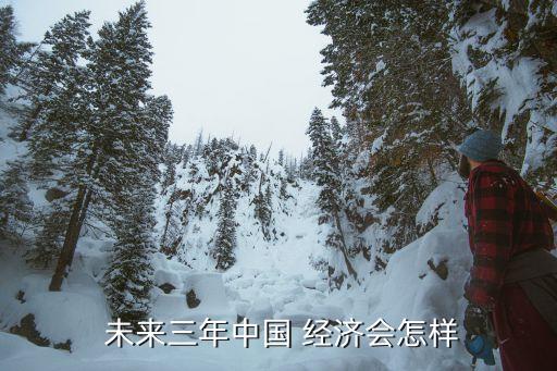 中國(guó)未來的經(jīng)濟(jì)問題