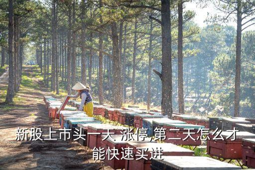 提前一天掛漲停買(mǎi)股票有用嘛,一萬(wàn)買(mǎi)股票漲停一天能賺多少