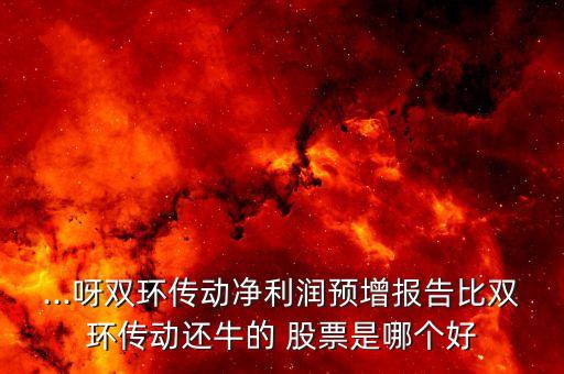 ...呀雙環(huán)傳動(dòng)凈利潤(rùn)預(yù)增報(bào)告比雙環(huán)傳動(dòng)還牛的 股票是哪個(gè)好