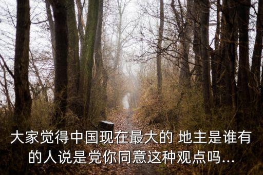 大家覺得中國現在最大的 地主是誰有的人說是黨你同意這種觀點嗎...