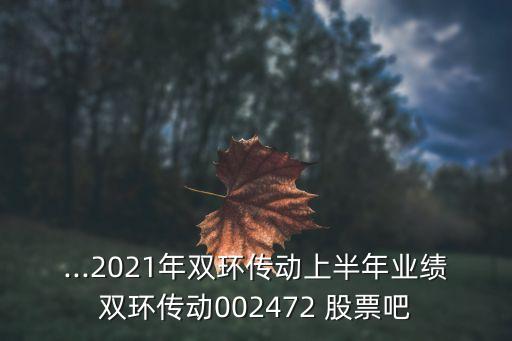 ...2021年雙環(huán)傳動(dòng)上半年業(yè)績(jī)雙環(huán)傳動(dòng)002472 股票吧