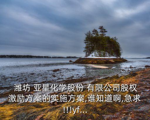  濰坊 亞星化學(xué)股份 有限公司股權(quán)激勵(lì)方案的實(shí)施方案,誰知道啊,急求!!!yf...