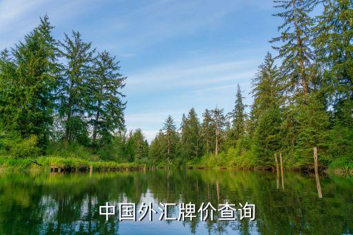 中國(guó)外匯牌價(jià)查詢(xún)