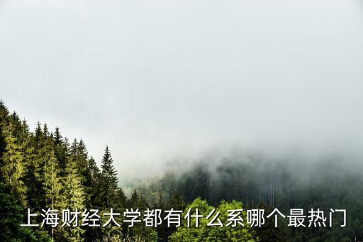  上海財(cái)經(jīng)大學(xué)都有什么系哪個(gè)最熱門(mén)