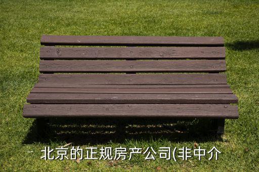 北京經(jīng)濟技術(shù)投資開發(fā)總公司