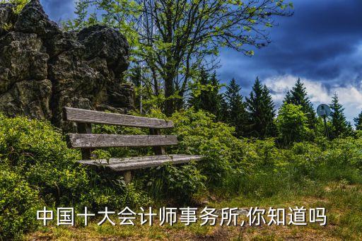 中國十大會計師事務(wù)所,你知道嗎
