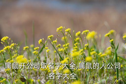 pp租車(chē)不支持的銀行,該站點(diǎn)不支持該應(yīng)用租車(chē)