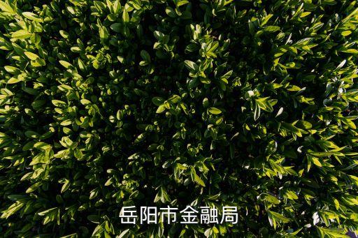 岳陽市金融局