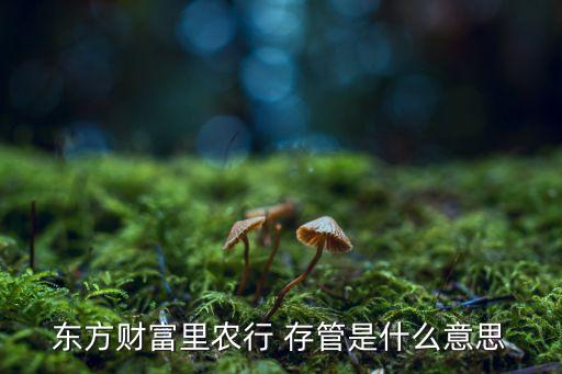 東方財富里農(nóng)行 存管是什么意思