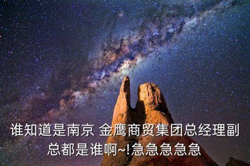 誰知道是南京 金鷹商貿集團總經(jīng)理副總都是誰啊~!急急急急急