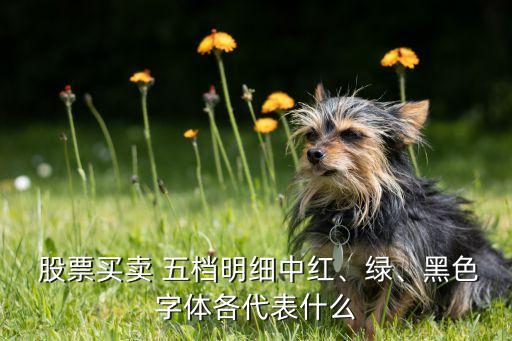  股票買賣 五檔明細(xì)中紅、綠、黑色字體各代表什么
