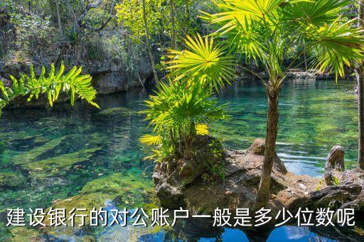建設(shè)銀行的對(duì)公賬戶(hù)一般是多少位數(shù)呢