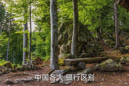 村鎮(zhèn)銀行和民營銀行的區(qū)別,民營銀行會(huì)不會(huì)像河南村鎮(zhèn)銀行取不到錢