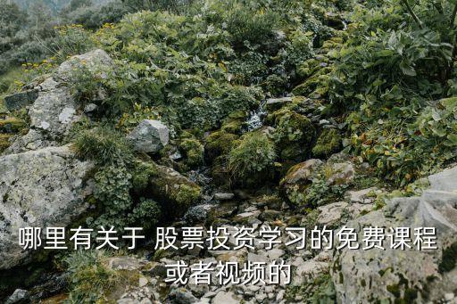 哪里有關(guān)于 股票投資學習的免費課程或者視頻的