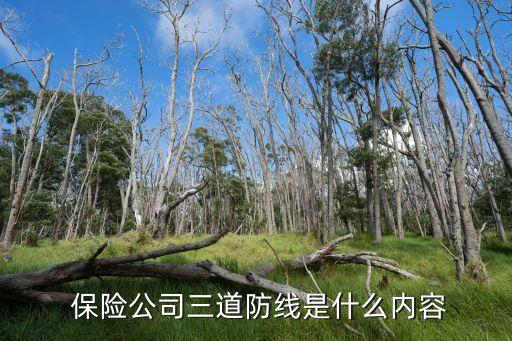  保險(xiǎn)公司三道防線(xiàn)是什么內(nèi)容