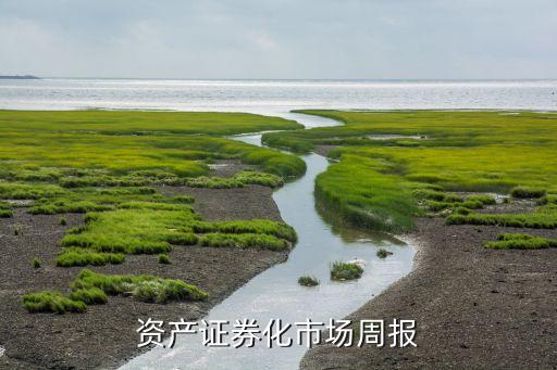 資產(chǎn)證券化市場周報(bào)