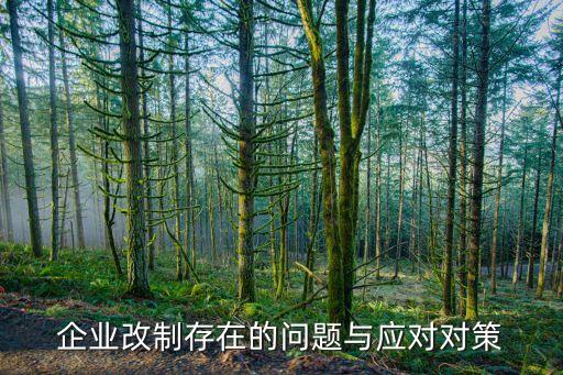 企業(yè)改制存在的問題與應(yīng)對對策