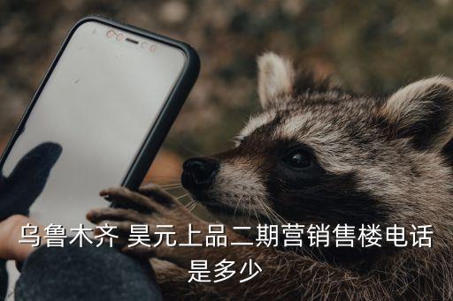 烏魯木齊 昊元上品二期營(yíng)銷售樓電話是多少
