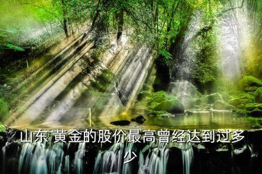  山東 黃金的股價最高曾經達到過多少