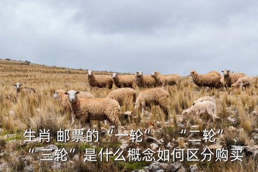  生肖 郵票的“一輪”、“二輪”、“ 三輪”是什么概念如何區(qū)分購買