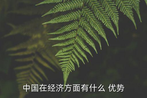 中國在經(jīng)濟方面有什么 優(yōu)勢