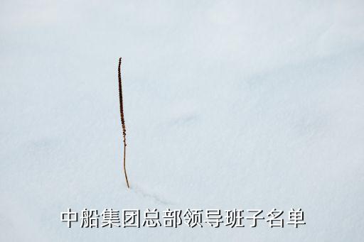 中船集團總部領導班子名單