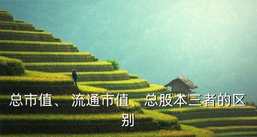 總市值、 流通市值、總股本三者的區(qū)別